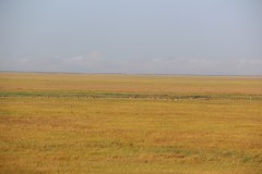 IMG_7932