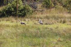 IMG_7941