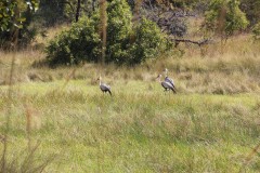 IMG_7942