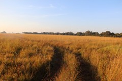 IMG_7960