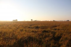 IMG_7962