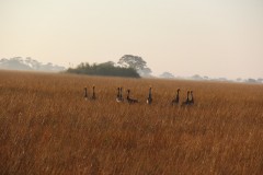 IMG_7963