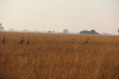 IMG_7964