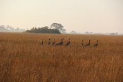 IMG_7965