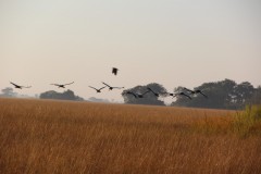 IMG_7966