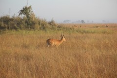 IMG_7968