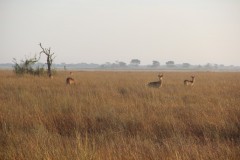 IMG_7969