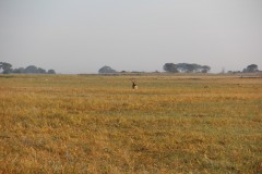 IMG_7971