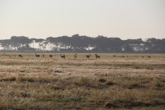 IMG_7973