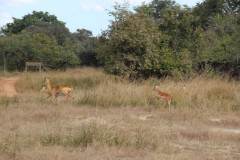 IMG_7978