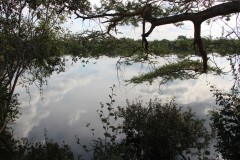 IMG_7982-Puku-Pan-Safari-Lodge-Kafue-River