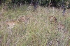 IMG_7996