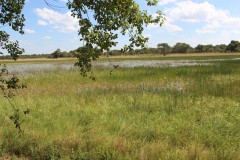 IMG_8002-Nanzhila-Plains-Nangandwe-Pools