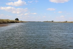 IMG_8010