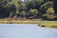 IMG_8016