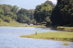 IMG_8021