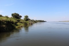 IMG_8028