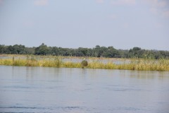 IMG_8033