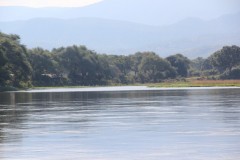 IMG_8037