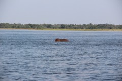 IMG_8042