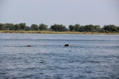 IMG_8043