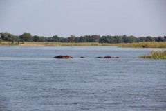 IMG_8045
