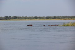 IMG_8046