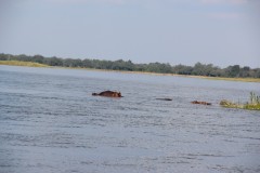 IMG_8047