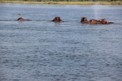 IMG_8049