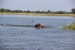 IMG_8050