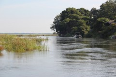 IMG_8051-Zambezi-NP-Zambezi-River-Royal-Zambezi-Lodge