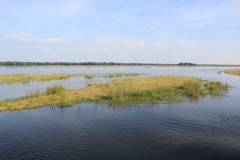 IMG_8062