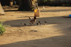 IMG_8070
