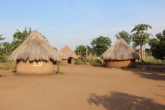 IMG_8079