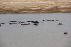 IMG_8128