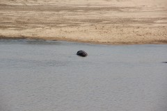 IMG_8129