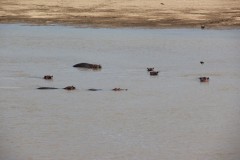 IMG_8130