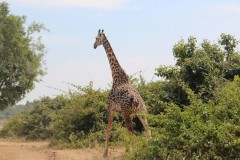 IMG_8132-Nsefu-Sector