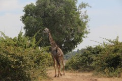 IMG_8134