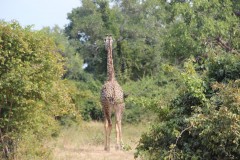 IMG_8137