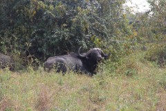IMG_8140
