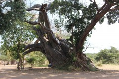 IMG_8150-Nsendamila-Cultural-Village