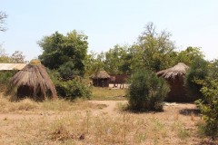 IMG_8152