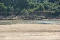 IMG_8153-Mfuwe-Bridge-Luangwa-River