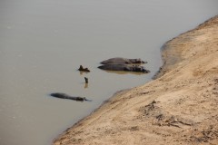 IMG_8158