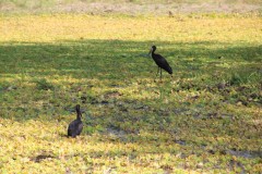 IMG_8164