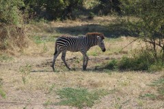 IMG_8177