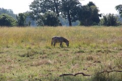 IMG_8180