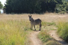 IMG_8184