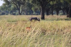 IMG_8186